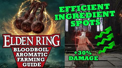 You can hold up to 20 Explosive Stone Clumps. . Elden ring bloodboil aromatic